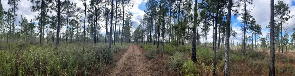 0 Jack Springs Road Perdido AL 36562