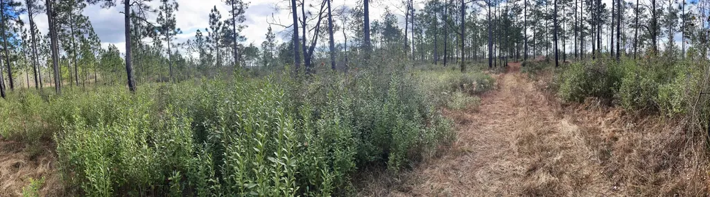 0 Jack Springs Road Perdido AL 36562