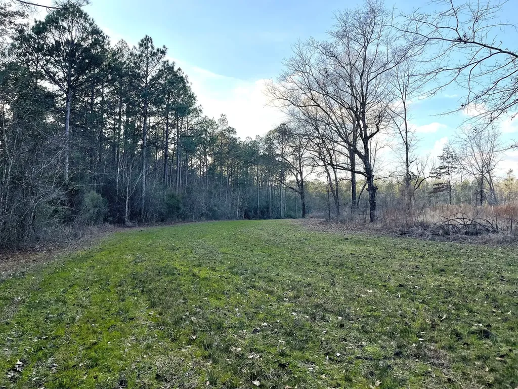 0 Jack Springs Road Perdido AL 36562