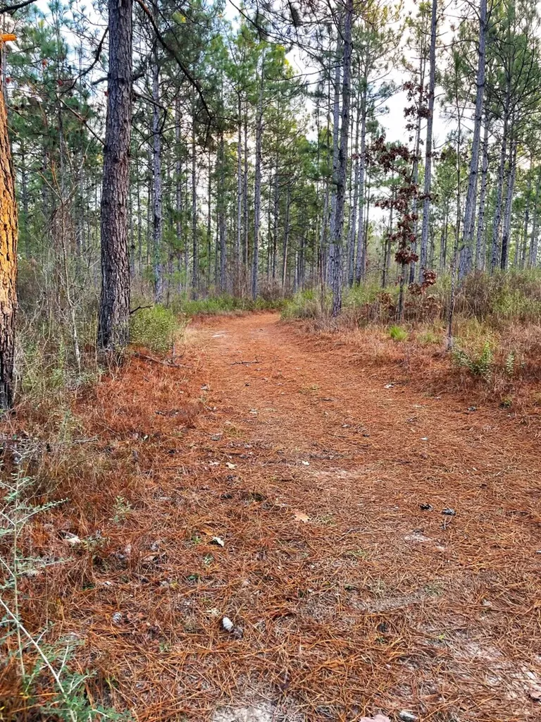 0 Jack Springs Road Perdido AL 36562