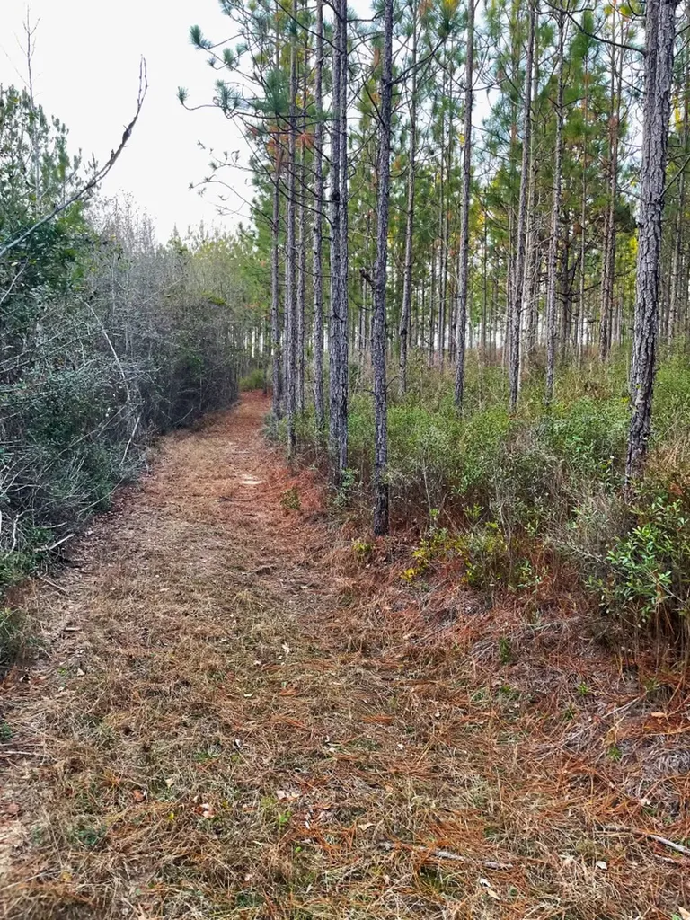 0 Jack Springs Road Perdido AL 36562