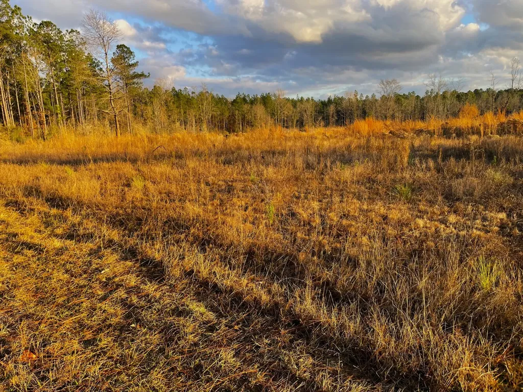 0 Jack Springs Road Perdido AL 36562