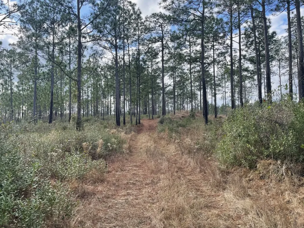 0 Jack Springs Road Perdido AL 36562