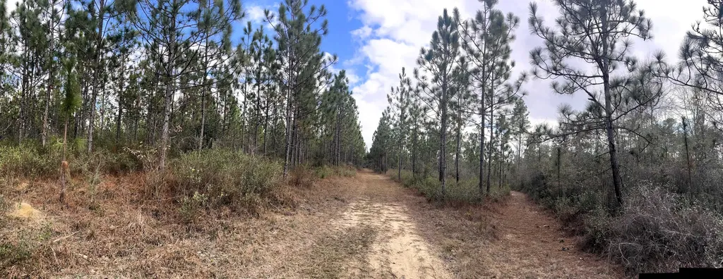 0 Jack Springs Road Perdido AL 36562