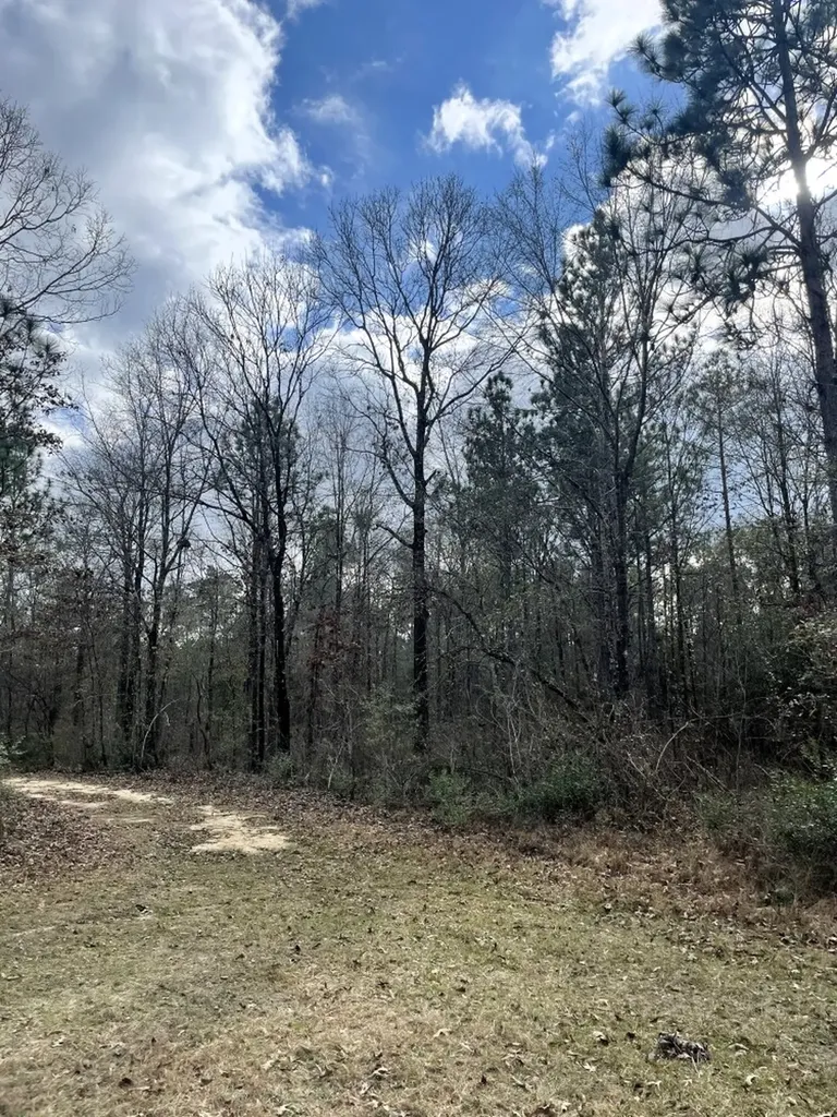 0 Jack Springs Road Perdido AL 36562