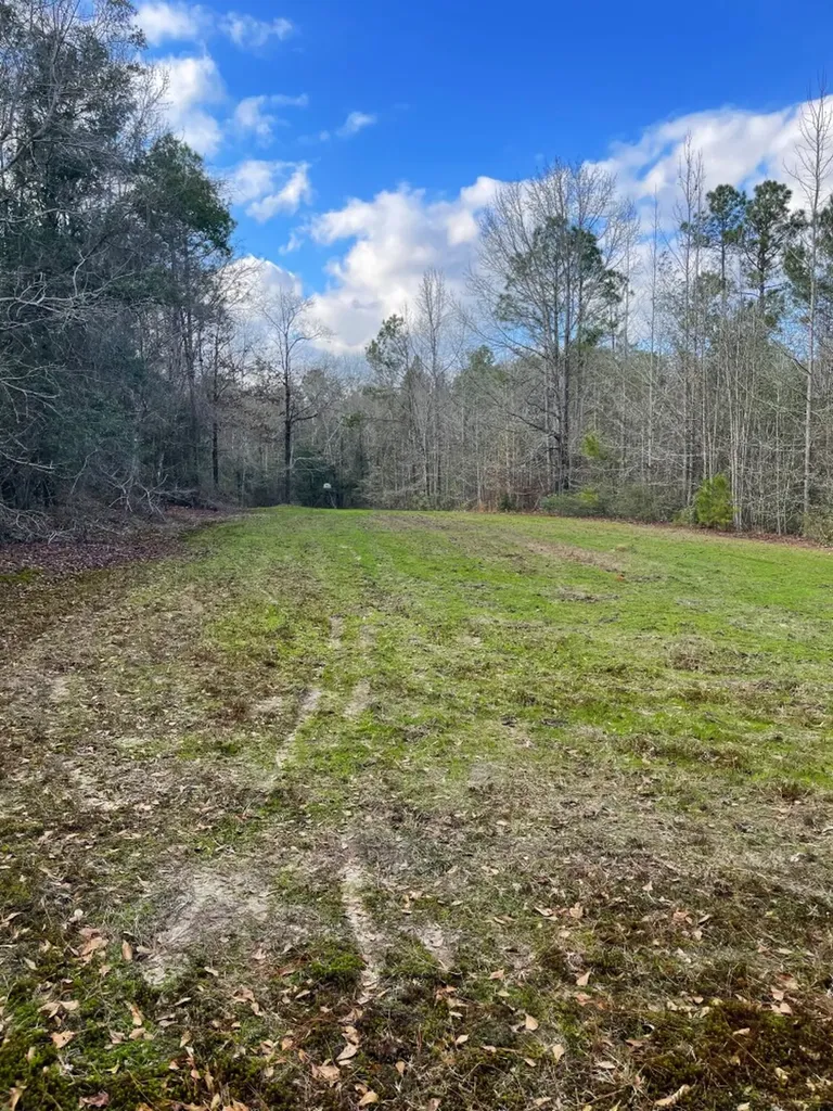 0 Jack Springs Road Perdido AL 36562