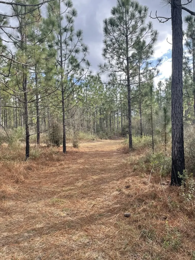 0 Jack Springs Road Perdido AL 36562