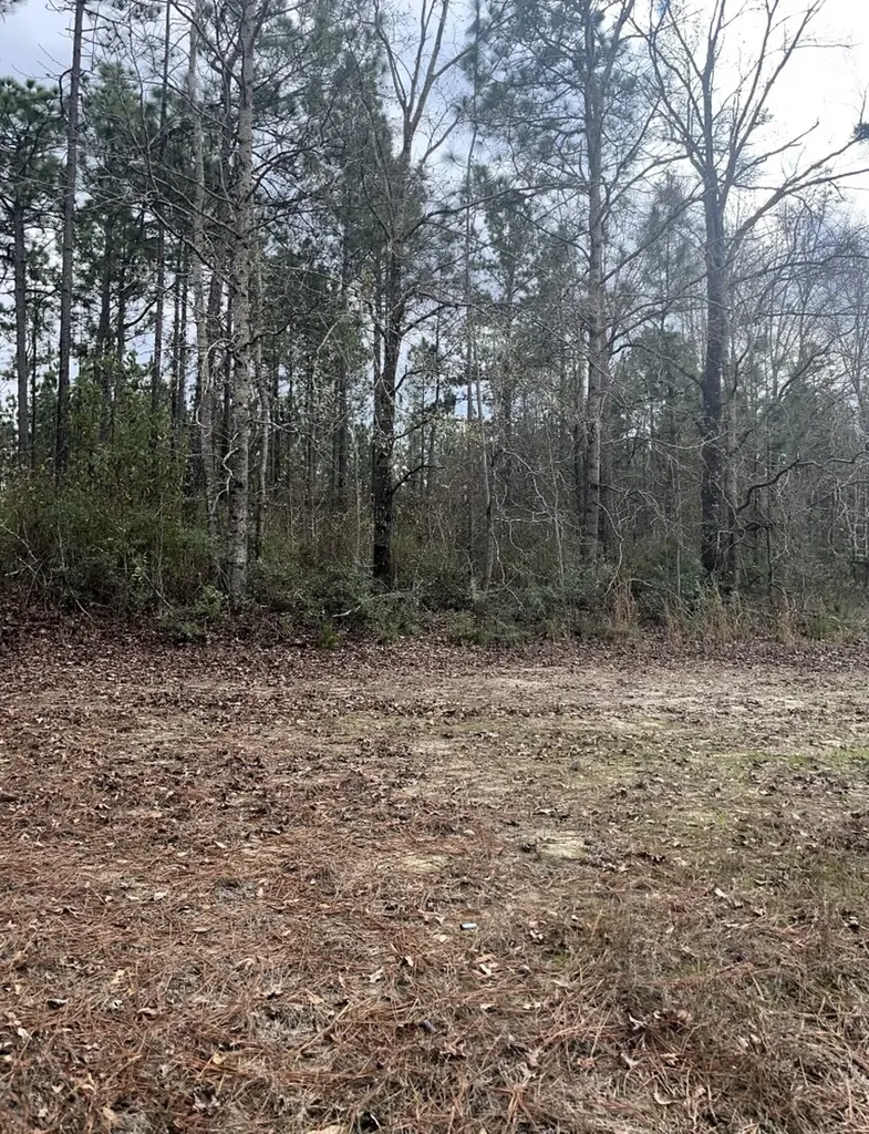 0 Jack Springs Road Perdido AL 36562