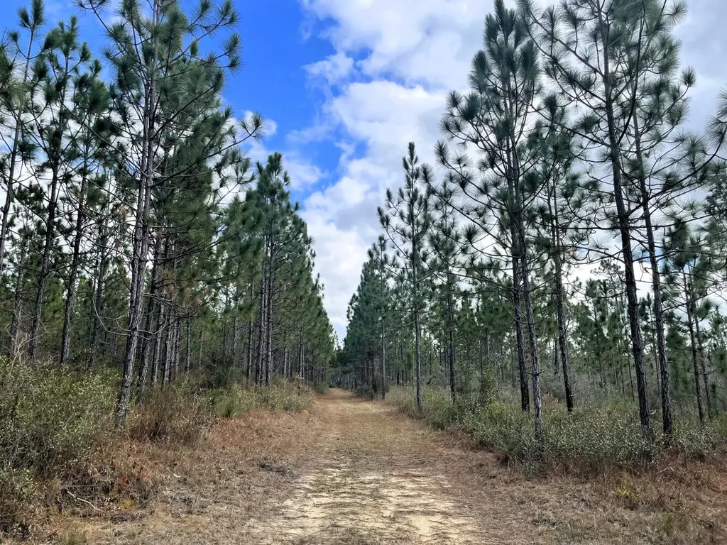 0 Jack Springs Road Perdido AL 36562