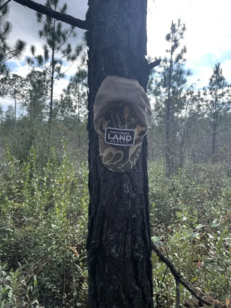 0 Jack Springs Road Perdido AL 36562