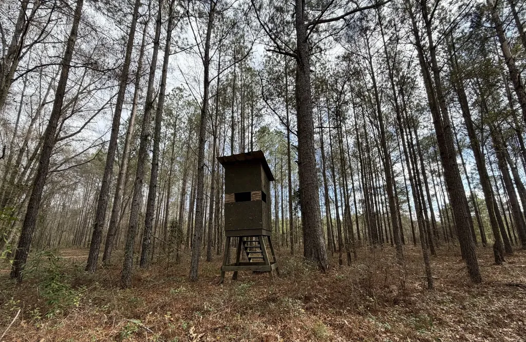 0 County Road 69 Banks AL 36005