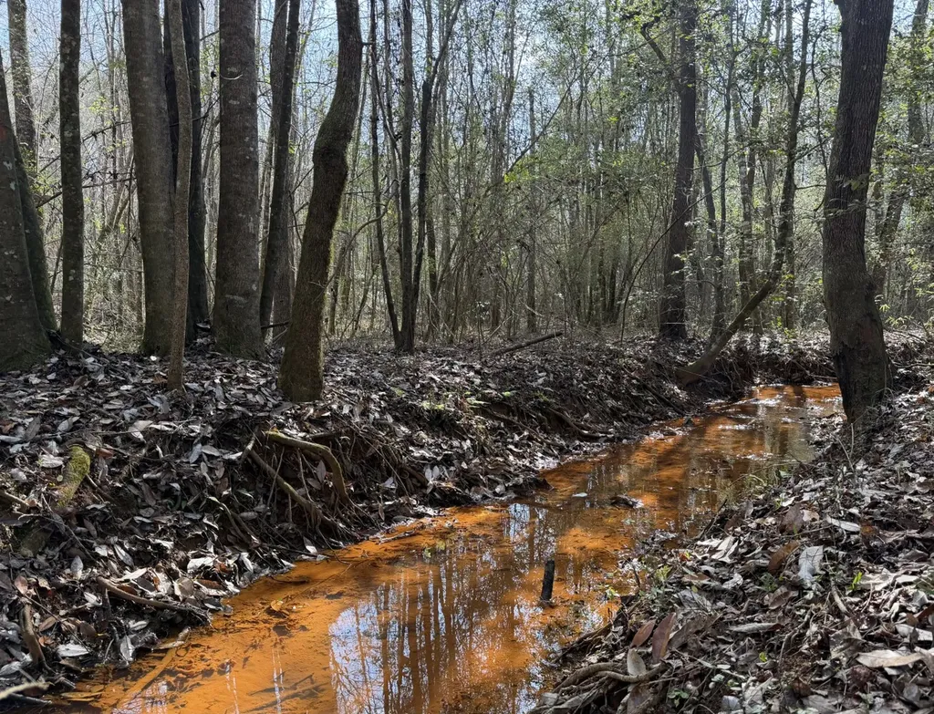 0 County Road 69 Banks AL 36005