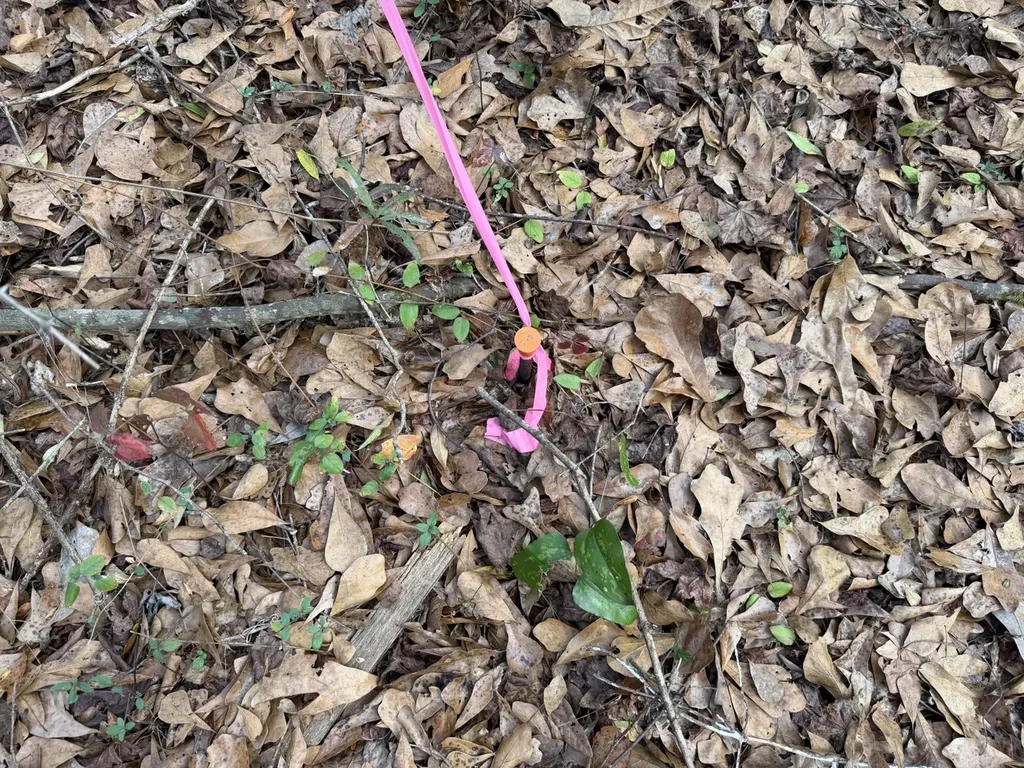 0 County Road 69 Banks AL 36005