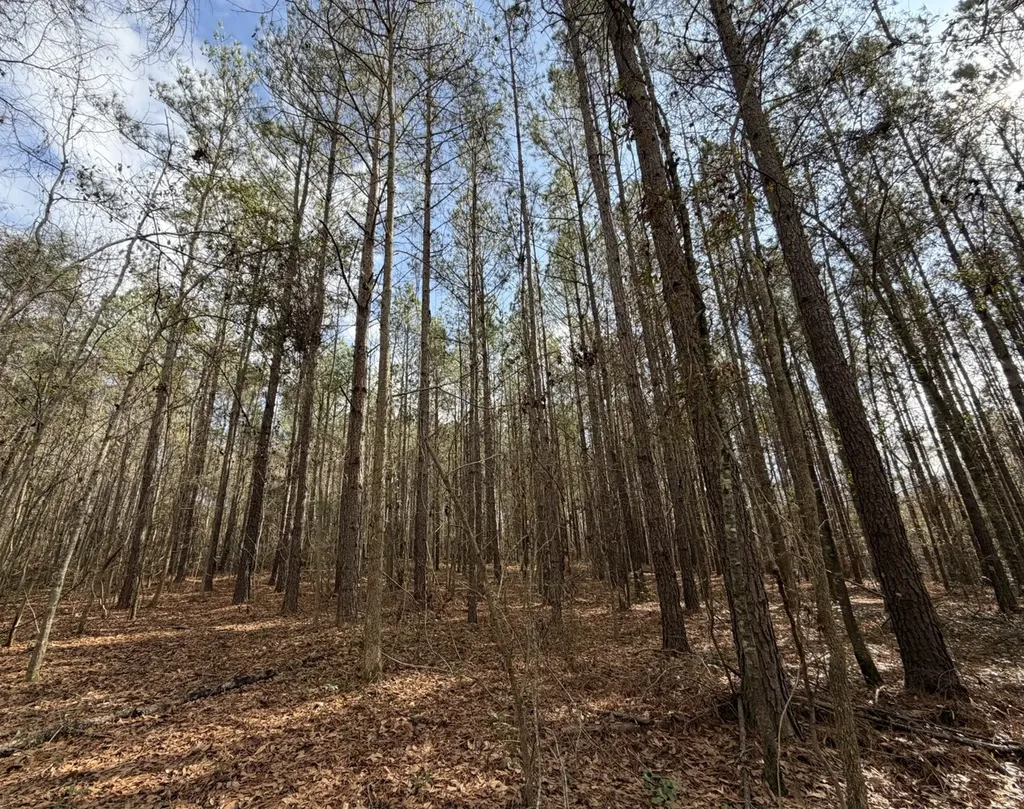 0 County Road 69 Banks AL 36005