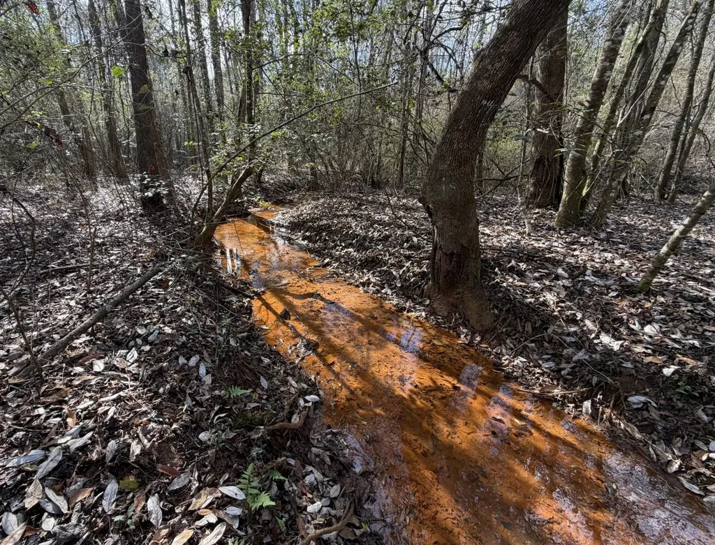 0 County Road 69 Banks AL 36005