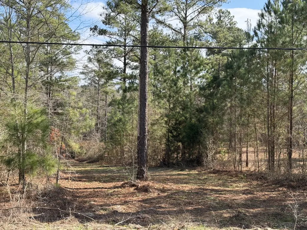 0 County Road 69 Banks AL 36005