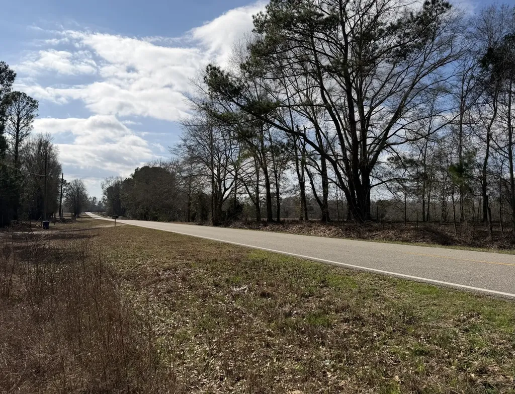 0 County Road 69 Banks AL 36005