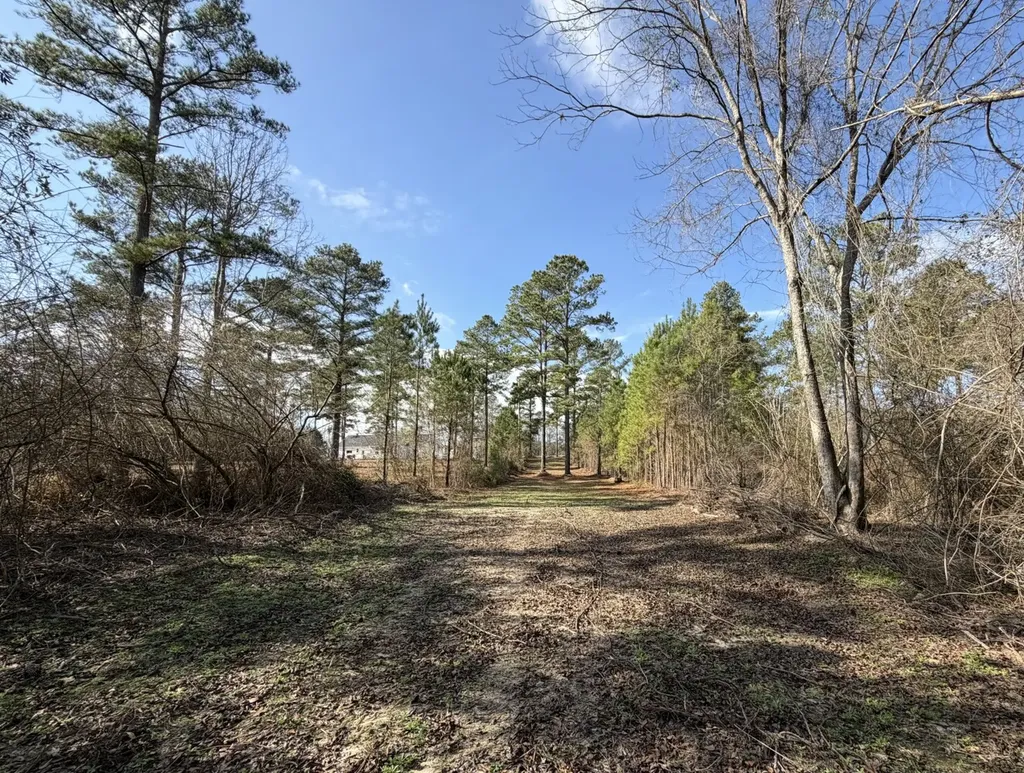 0 County Road 69 Banks AL 36005