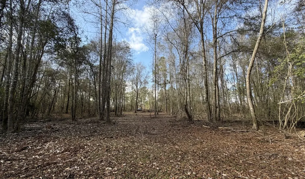 0 County Road 69 Banks AL 36005