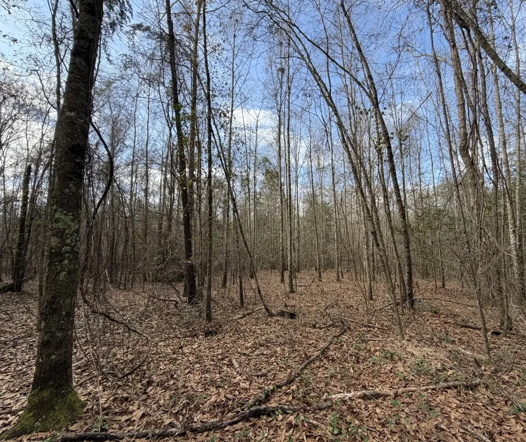 0 County Road 69 Banks AL 36005