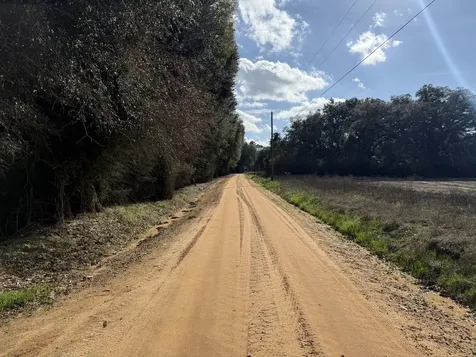 0 County Road 8 Ashford AL 36312