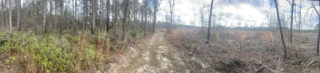 0 Splinter Hill Road Perdido AL 36562