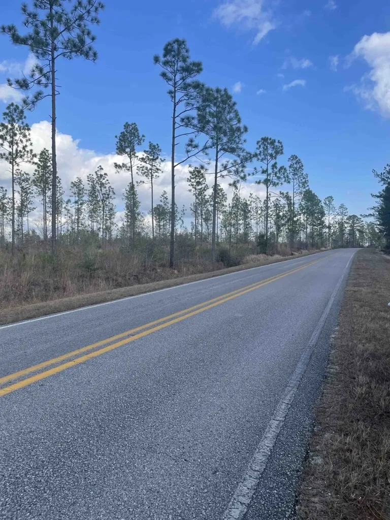 0 Splinter Hill Road Perdido AL 36562