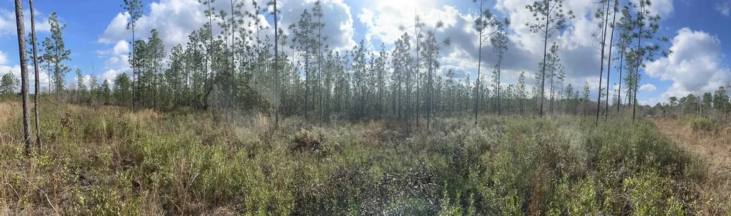 0 Splinter Hill Road Perdido AL 36562