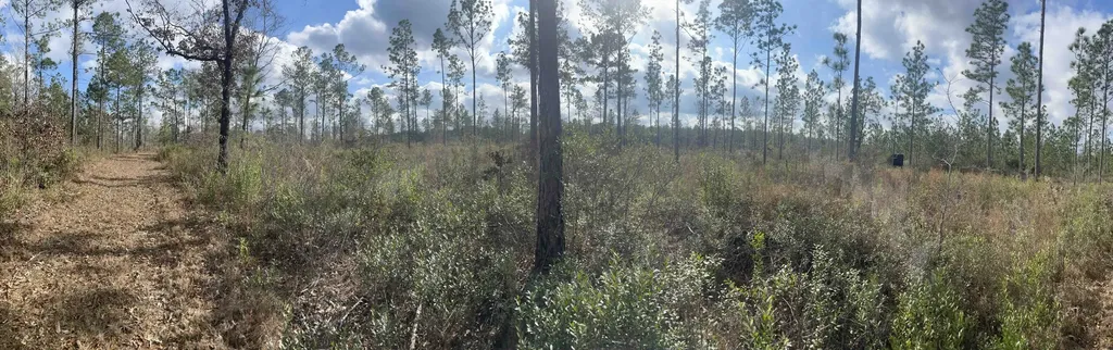 0 Splinter Hill Road Perdido AL 36562