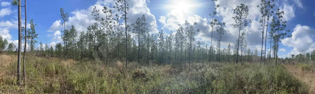 0 Splinter Hill Road Perdido AL 36562