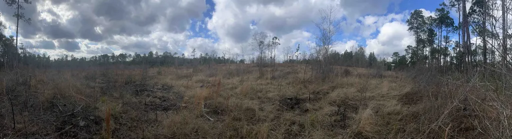 0 Splinter Hill Road Perdido AL 36562