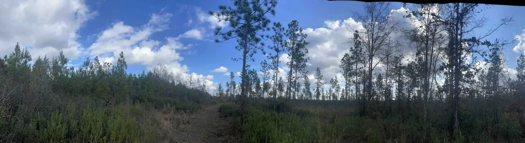0 Splinter Hill Road Perdido AL 36562
