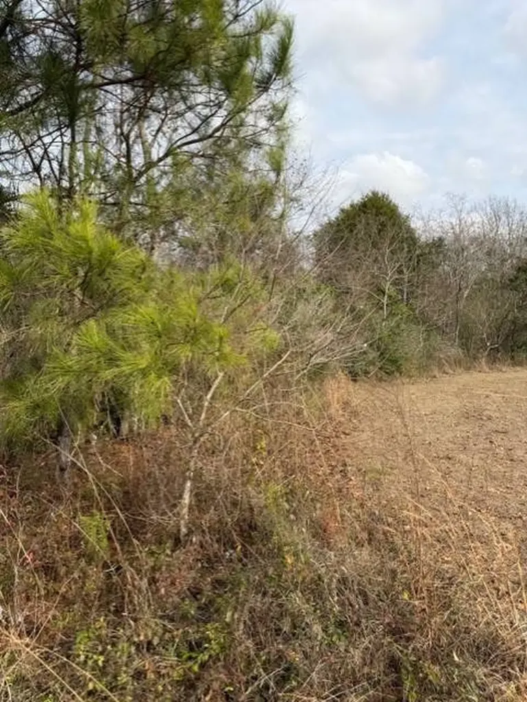 231 Us Highway Troy AL 36081