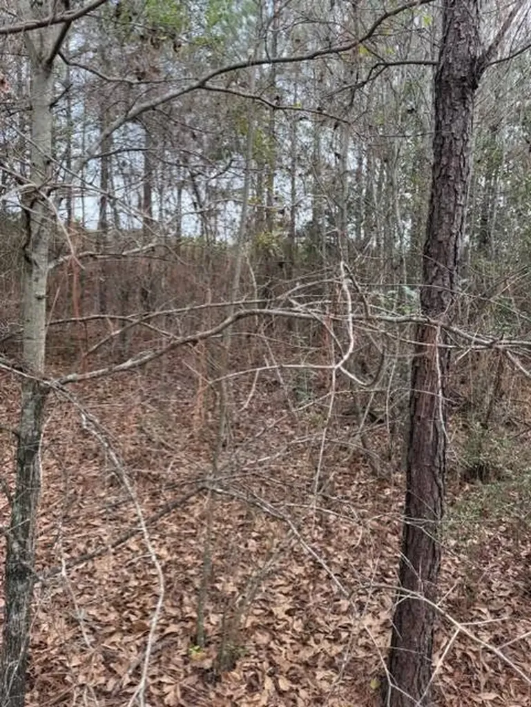 231 Us Highway Troy AL 36081