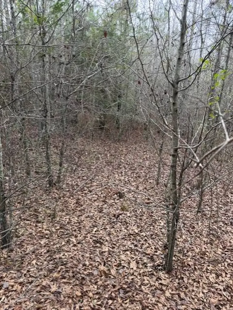 231 Us Highway Troy AL 36081