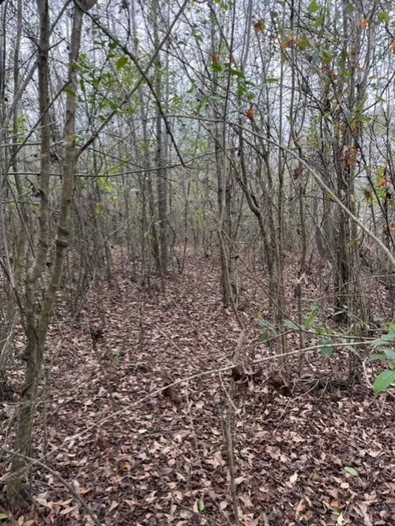231 Us Highway Troy AL 36081