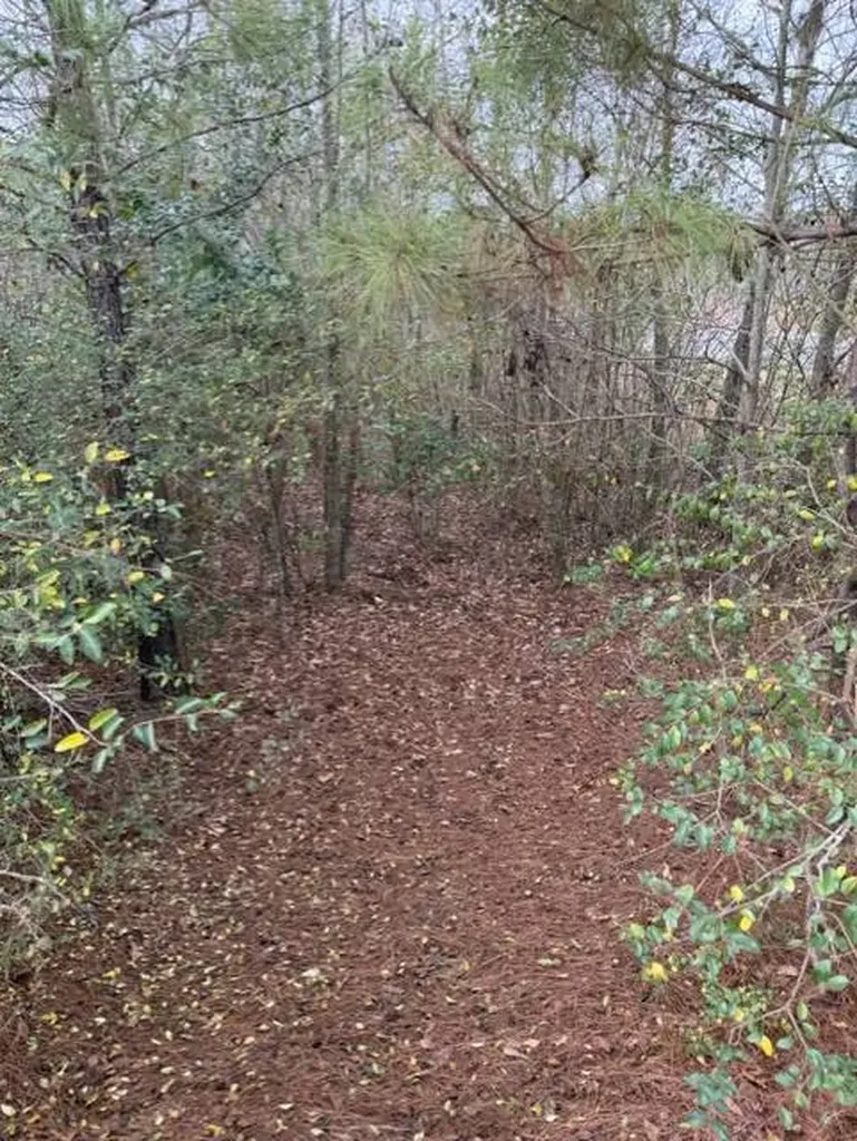 231 Us Highway Troy AL 36081