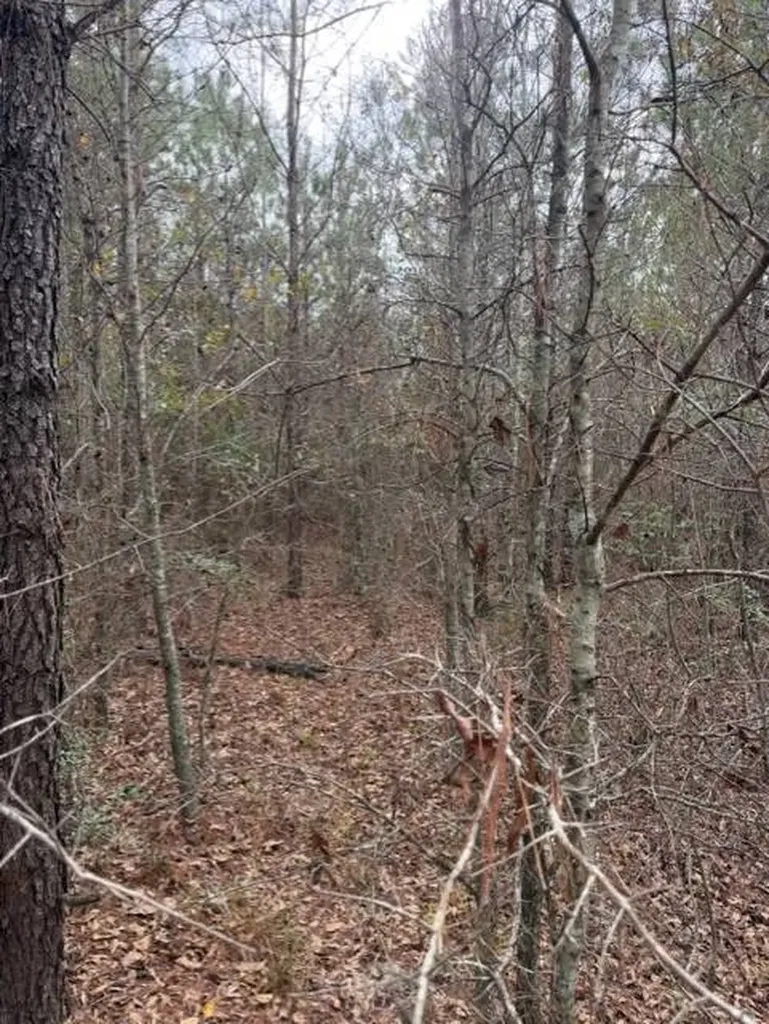 231 Us Highway Troy AL 36081