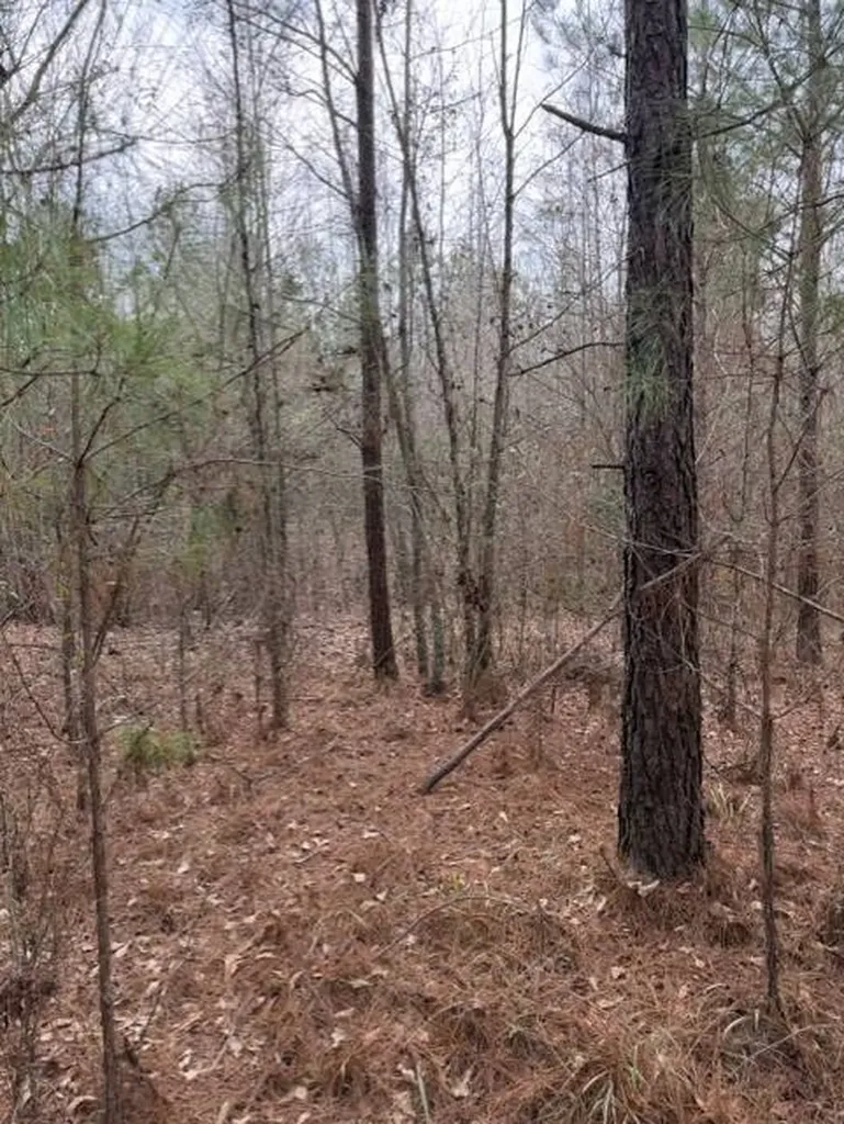 231 Us Highway Troy AL 36081