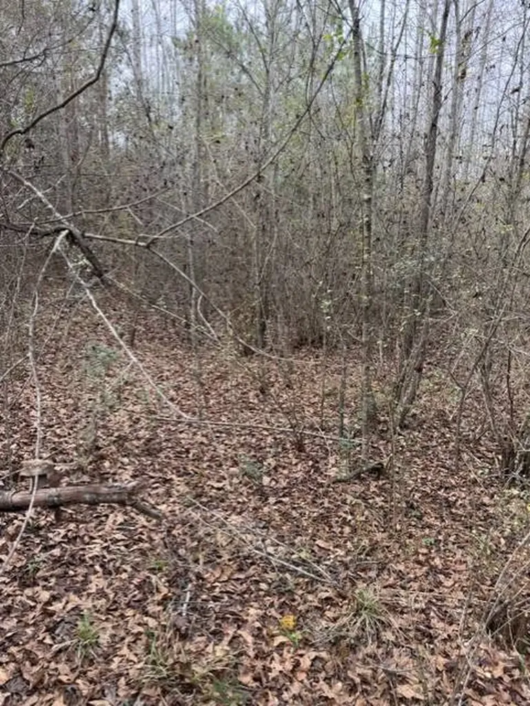 231 Us Highway Troy AL 36081
