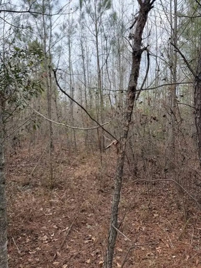 231 Us Highway Troy AL 36081