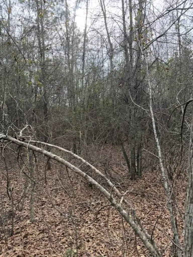 231 Us Highway Troy AL 36081
