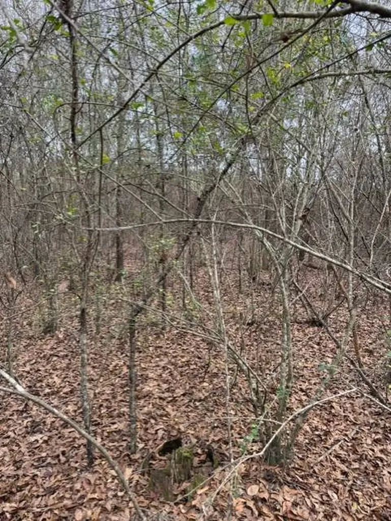 231 Us Highway Troy AL 36081