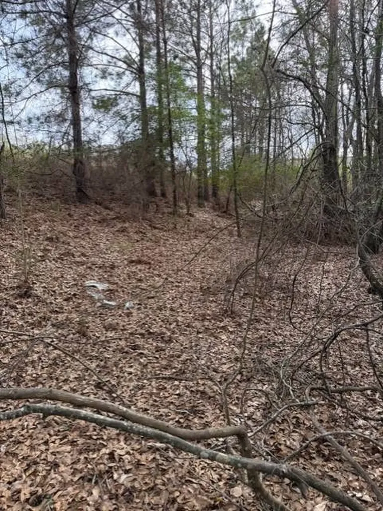 231 Us Highway Troy AL 36081