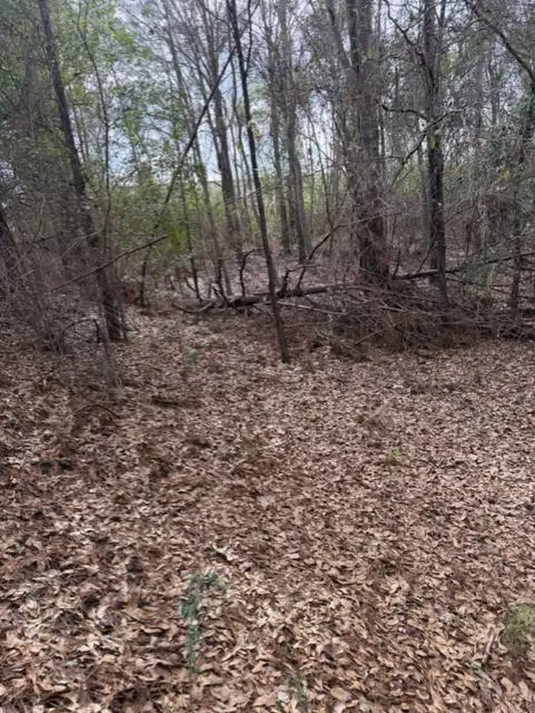 231 Us Highway Troy AL 36081