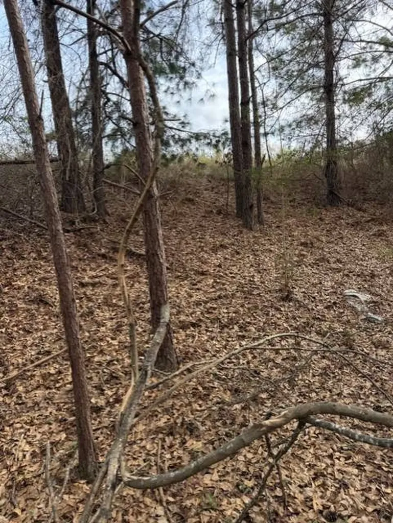 231 Us Highway Troy AL 36081