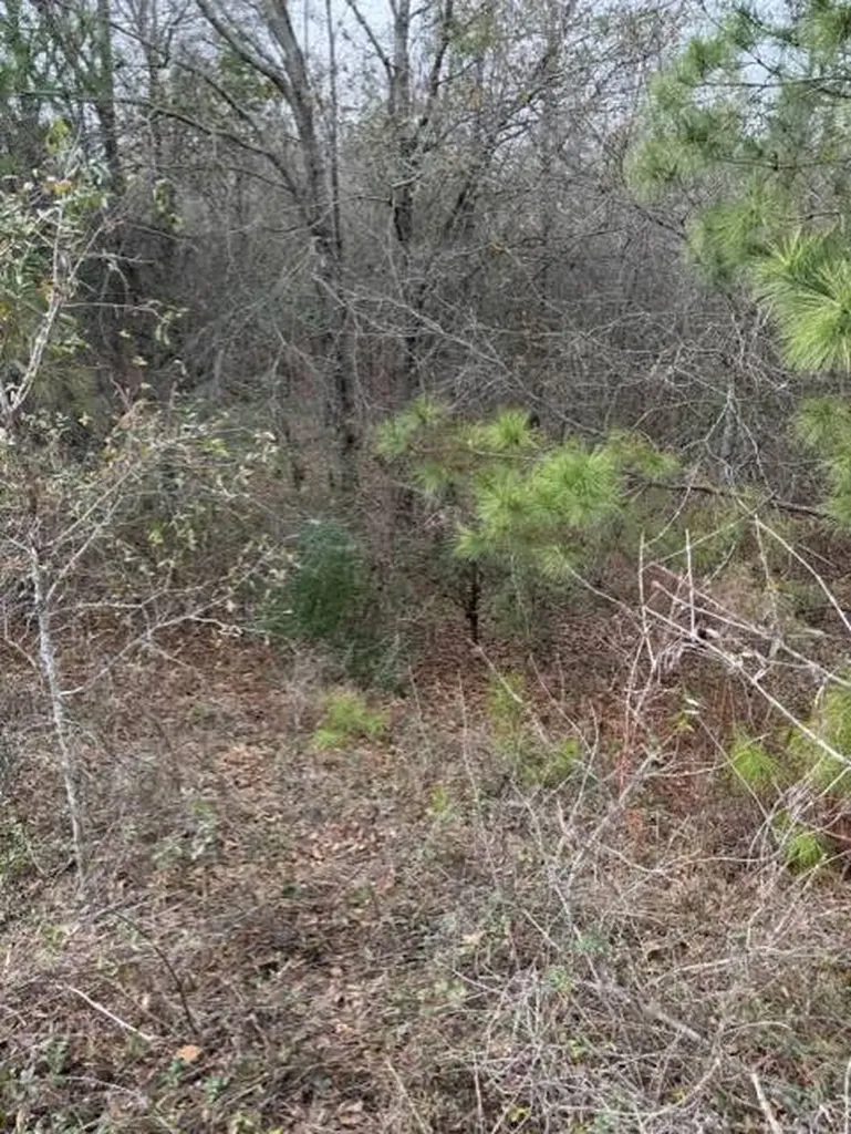 231 Us Highway Troy AL 36081