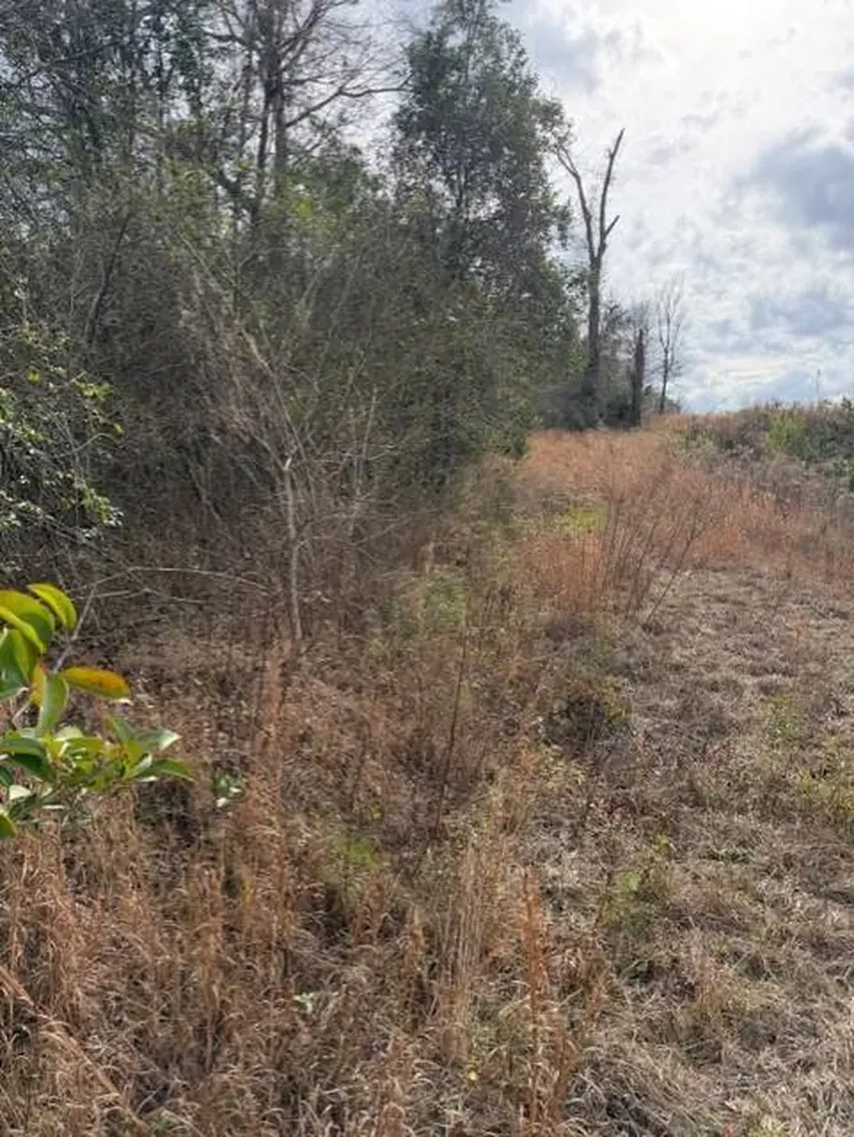 231 Us Highway Troy AL 36081