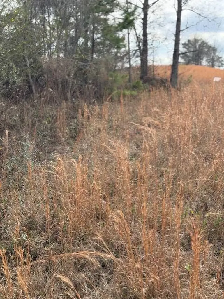 231 Us Highway Troy AL 36081