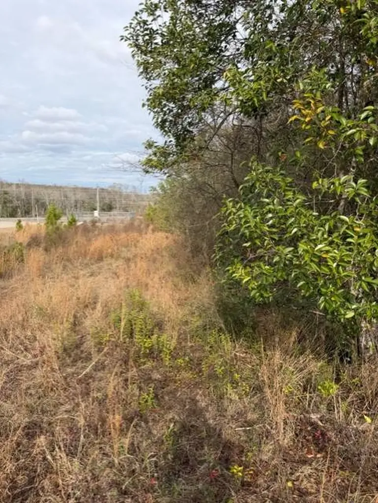 231 Us Highway Troy AL 36081